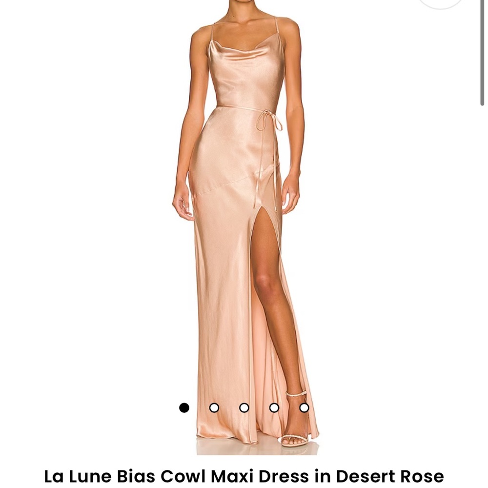 Shona Joy Desert Rose Colored Dress